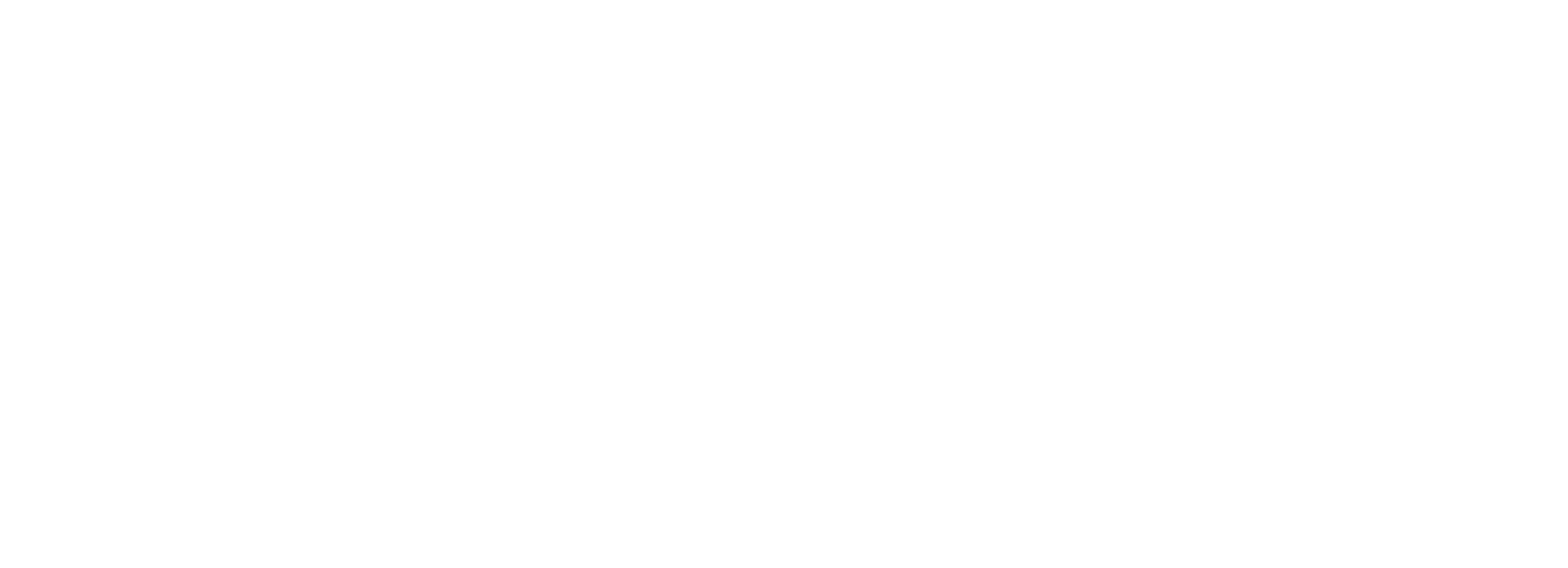 Strabo Partners